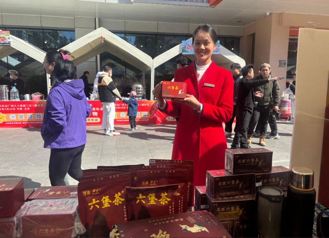 廣西強壽六堡茶陳正六堡茶熱情迎接八方賓客潮玩“三月三” 2025在京廣西人士歡度三月三歌圩節